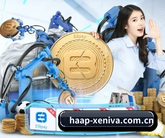 公司成立
